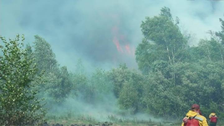 В России выросла площадь природных пожаров