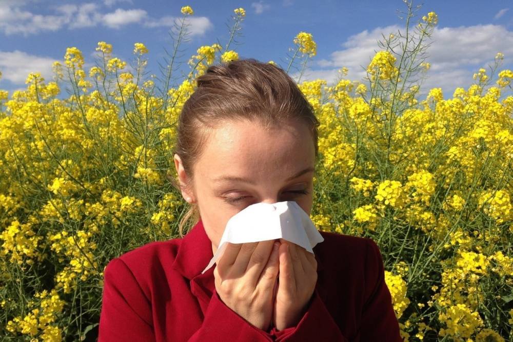 Эксперты рассказали, как отличить аллергию от коронавируса