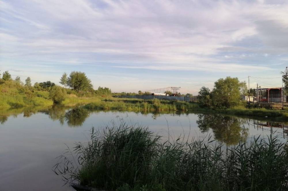 В Хабаровском крае женщина ценой своей жизни вытащила подростка из воды