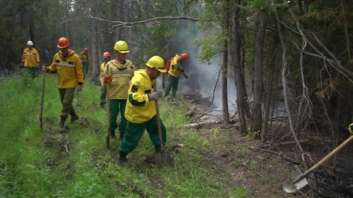 Более 100 лесных пожаров удалось ликвидировать в России за сутки
