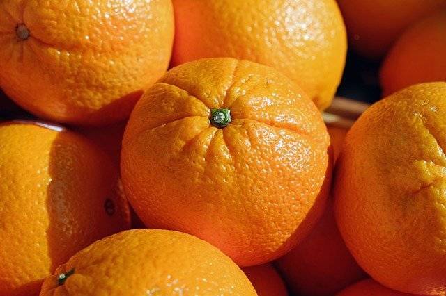50 тонн апельсинов с личинками насекомых нашли в порту Петербурга