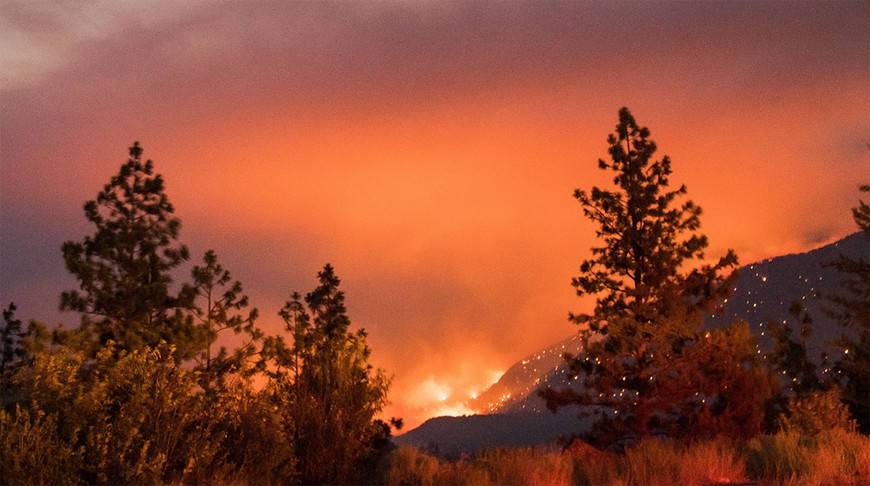 Число лесных пожаров на западе Канады возросло до 180 из-за аномальной жары