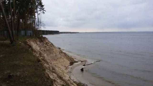 На берегу Киевского водохранилища пытались украсть 56 гектаров земли