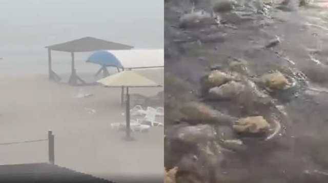 Пляжи курортного Бердянска после мощного шторма засыпало медузами