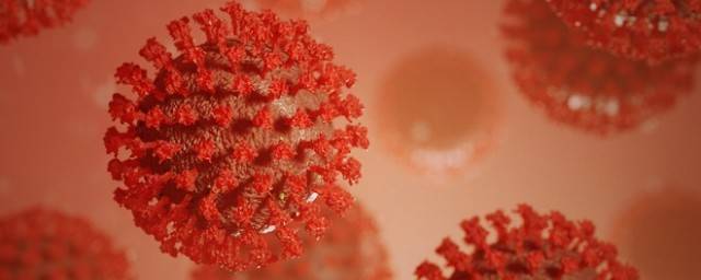 В ВОЗ сообщили о стабилизации заболеваемости коронавирусом в мире