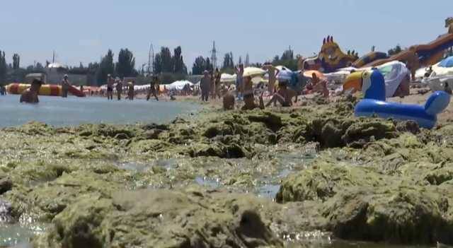 Грязная жижа вместо моря и невыносимая вонь: туристы показали печальные видео с пляжей Одесщины