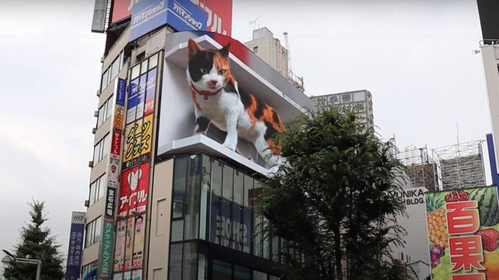 Огромный 3D-кот поселился на стене японского торгового центра в Токио
