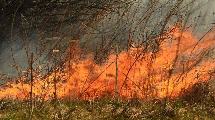 Огненный вихрь пронесся по степям Оренбургской области — видео