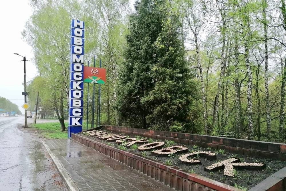 В Новомосковске удаляют аварийные деревья