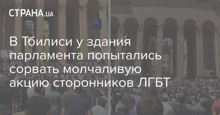 В Тбилиси у здания парламента попытались сорвать молчаливую акцию сторонников ЛГБТ