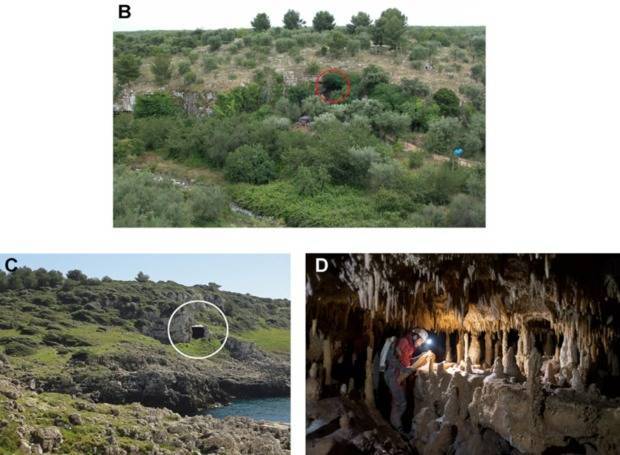 Ученые узнали, где неандертальцы перезимовали Ледниковый период