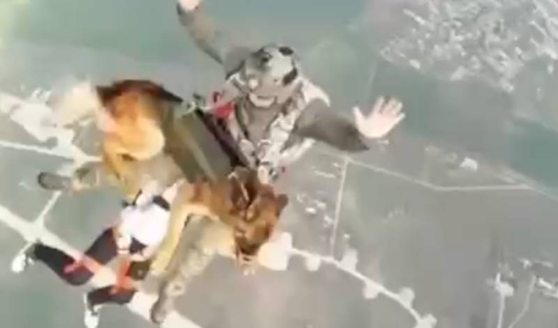 «Ростех» представил парашютную систему для собак