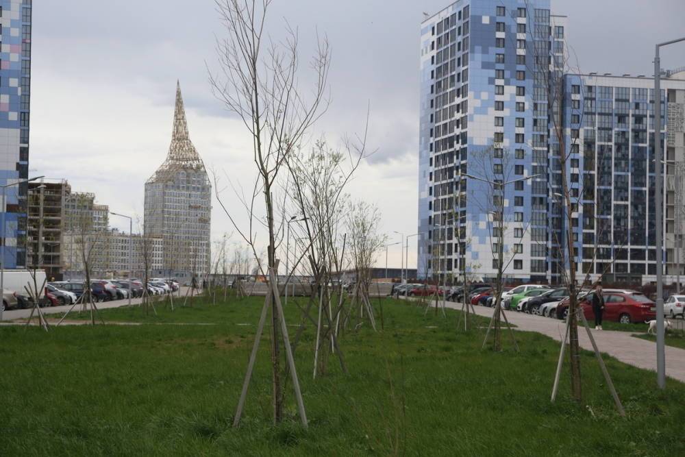 В Василеостровском районе станет больше парков и скверов