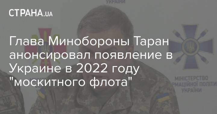 Глава Минобороны Таран анонсировал появление в Украине в 2022 году "москитного флота"