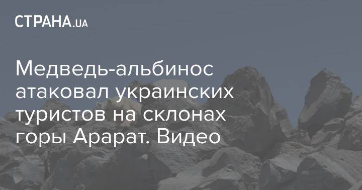 Медведь-альбинос атаковал украинских туристов на склонах горы Арарат. Видео