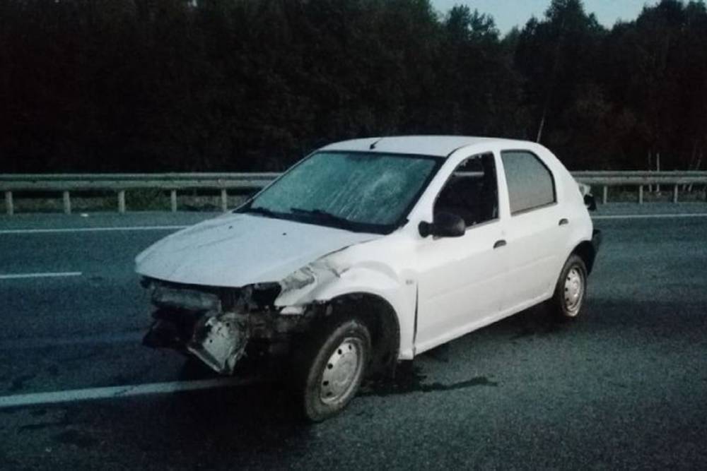 Возле Екатеринбурга автомобиль Renault врезался в ограждение: двое пострадавших