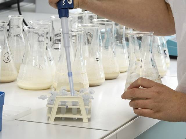 Ртуть, пестициды и антибиотики не нашли: региональный Роспотребнадзор проверил качество молочной продукции