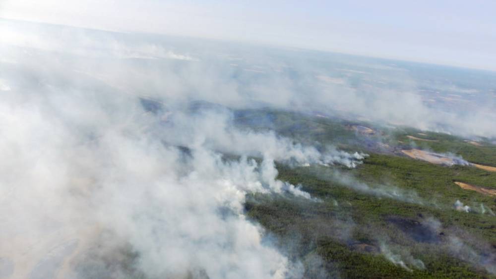 Жители Якутии обратились к Путину из-за лесных пожаров
