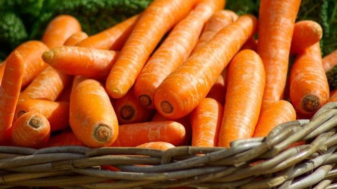 В России ожидают снижения цен на морковь