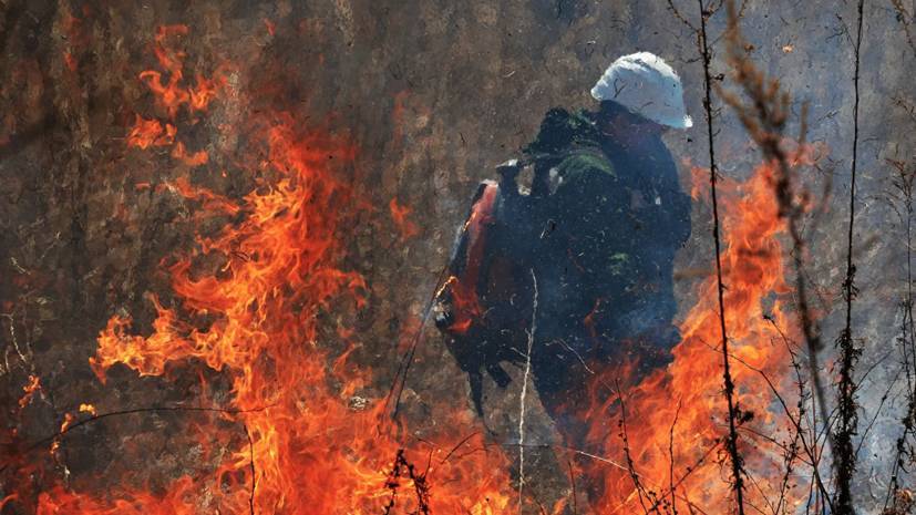 МЧС предупредило о риске лесных пожаров в Тюменской области из-за жары