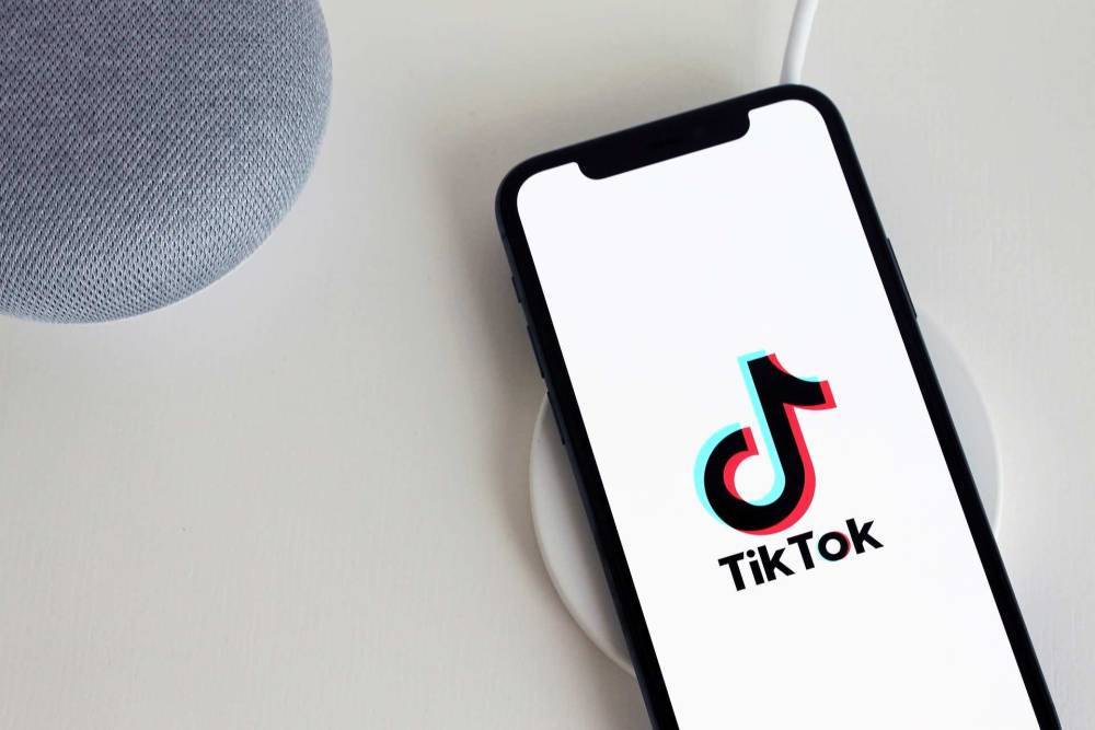 Короткие видео TikTok можно использовать как резюме при приёме на работу