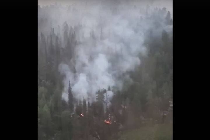В Кольском районе горит лес