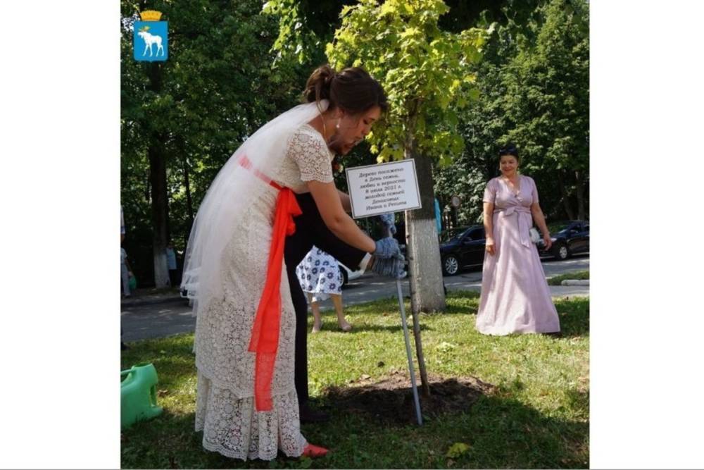 В День семьи, любви и верности молодожены посадили дерево в Йошкар-Оле