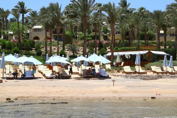 В АТОР назвали сроки возобновления чартеров на курорты Египта