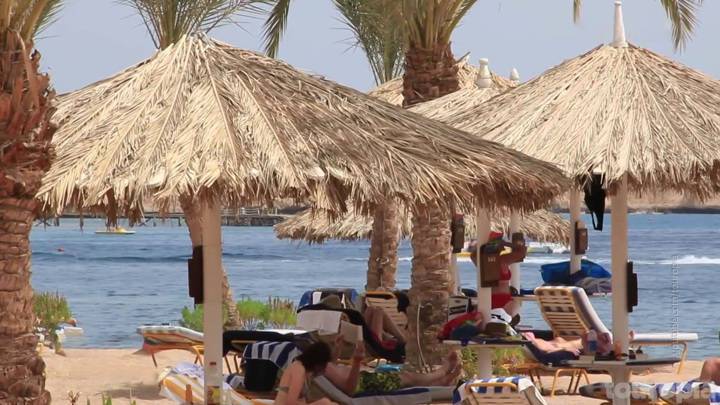 Спрос будет высоким: в АТОР рассказали о ценах на курорты Египта