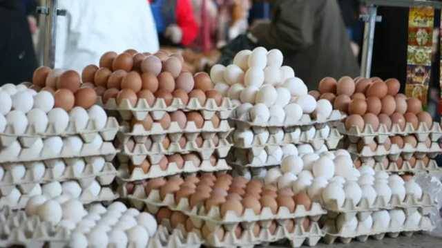 Яйца в Украине могут подорожать до 40 грн за десяток – аналитик