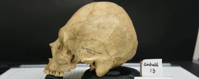 В Габоне ученые нашли черепа 500-летней давности без намеренно удаленных зубов