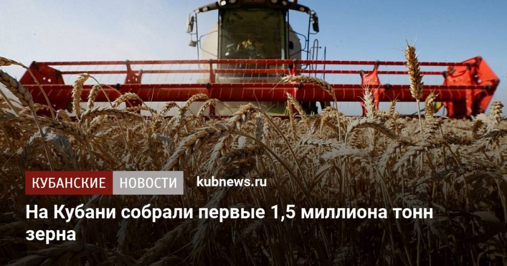 На Кубани собрали первые 1,5 миллиона тонн зерна