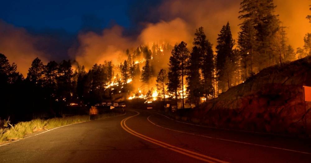 Огонь подобрался к Парижу: масштабные лесные пожары бушуют в Челябинской области (видео)