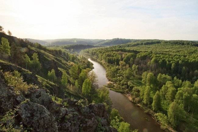 В правительстве Новосибирской области предложили создать систему комплексной защиты городских лесов