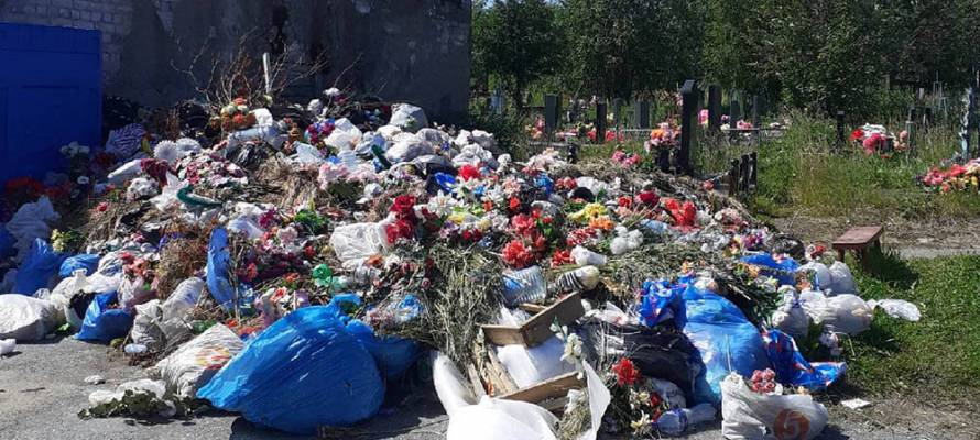 Свалку мусора устроили на кладбище на севере Карелии, где бродит медведь (ФОТОФАКТ)