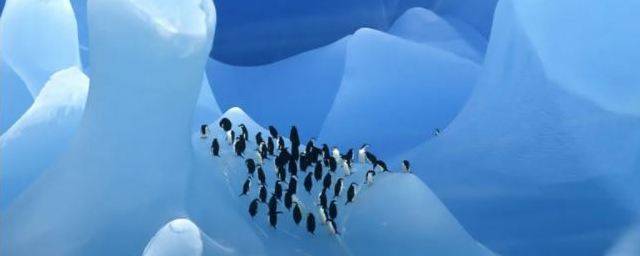 Ученые обнаружили активные озера подо льдами Антарктиды