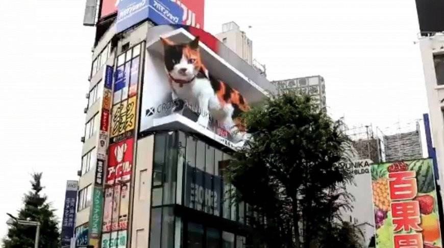 Гигантскую цифровую кошку установили на улице в Японии – впечатляет! (Видео)