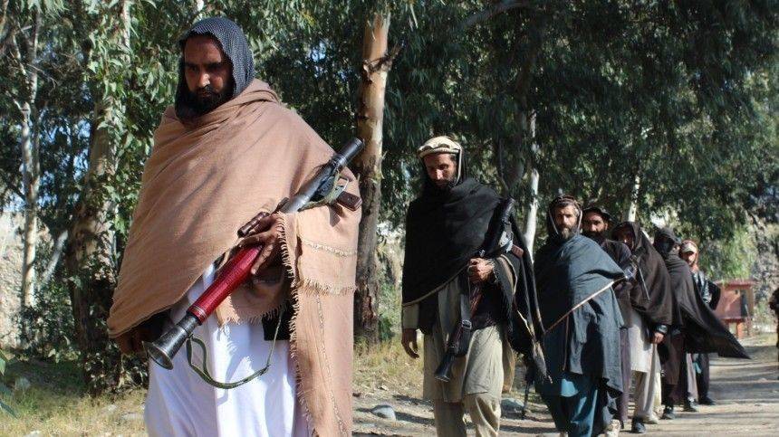 Захарова заявила о занятии талибами большей части приграничных территорий