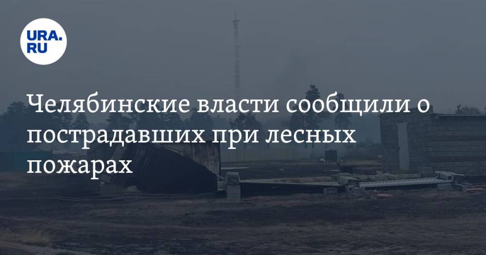 Челябинские власти сообщили о пострадавших при лесных пожарах. Видео