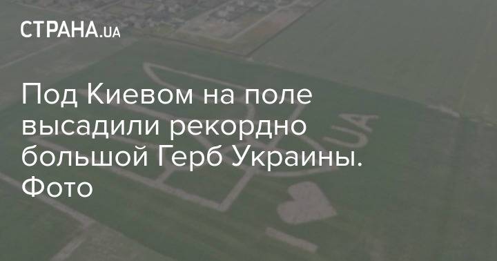 Под Киевом на поле высадили рекордно большой Герб Украины. Фото