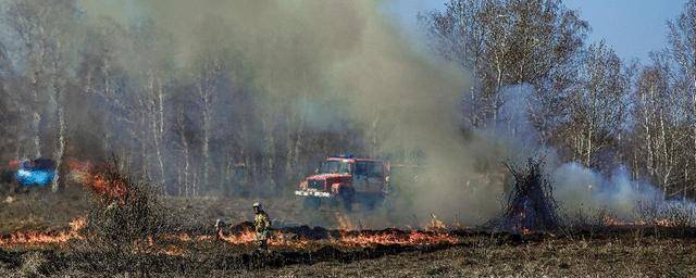 В Челябинской области природный пожар угрожает четырем населенным пунктам