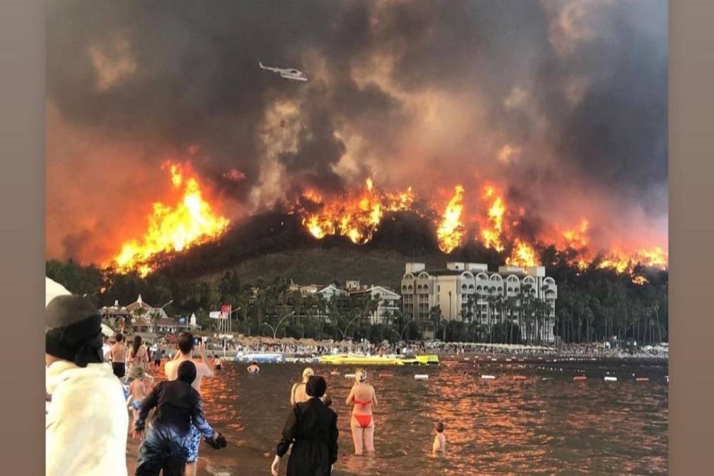 Турция выделила $6 млн на устранение ущерба от лесных пожаров