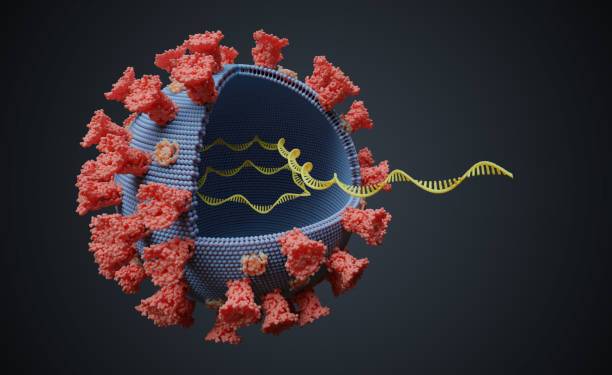 "Это немного беспокоит": В Швейцарии заявили о возможном существовании коронавируса с 2013 года