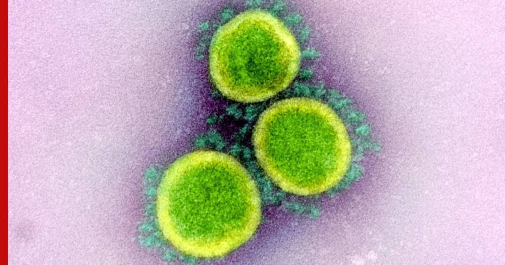 Вызывающий COVID-19 вирус может существовать в мире с 2013 года, заявили в Швейцарии