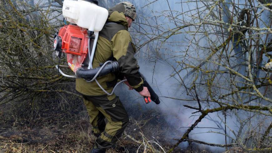 В России за сутки потушили 28 лесных пожаров