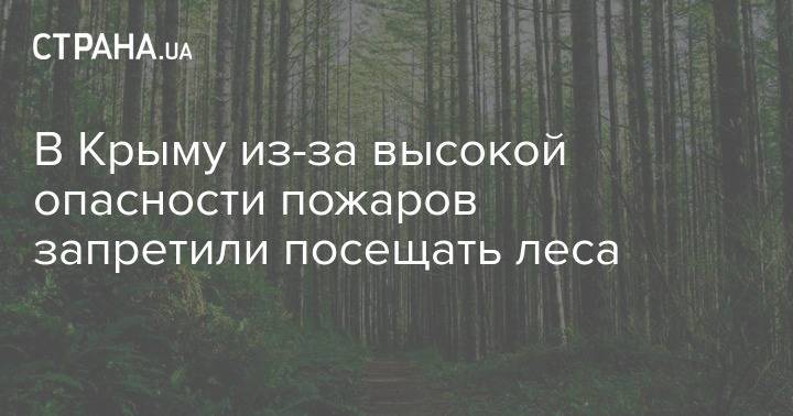 В Крыму из-за высокой опасности пожаров запретили посещать леса