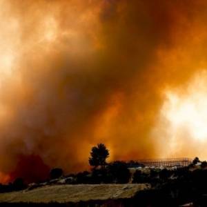 В Турции задержали подозреваемого в поджогах лесов