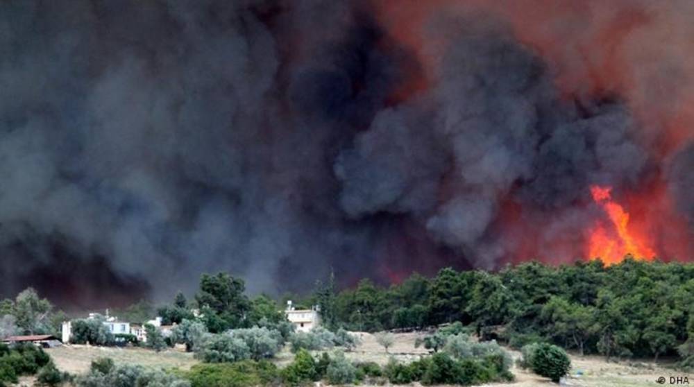 Лесные пожары в Турции: локализовали почти 100 очагов