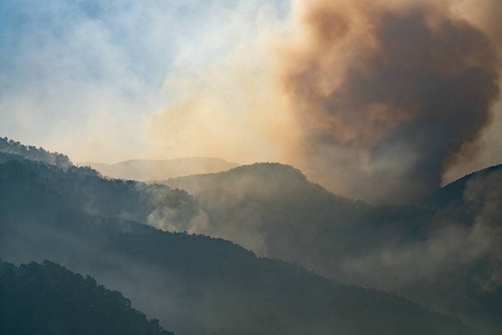 Россия направит в Турцию авиагруппировку для тушения лесных пожаров