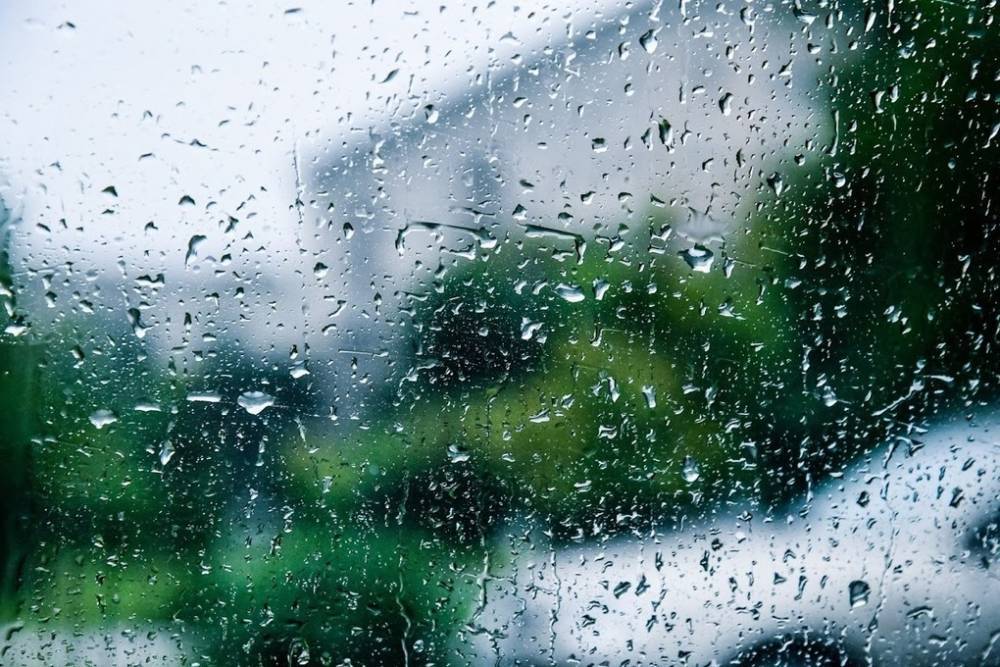 Волгоградское МЧС предупредило о грозах с дождем и градом при +39°